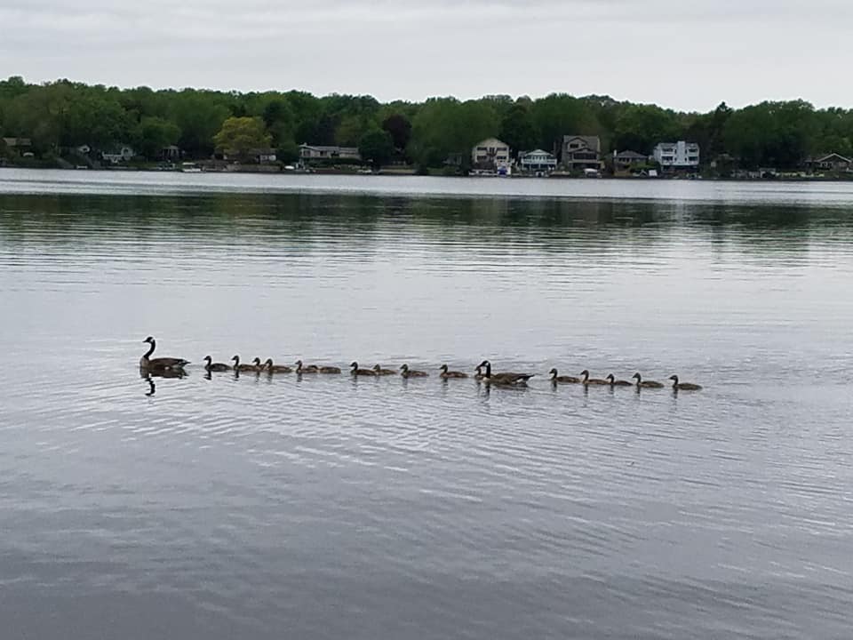 61265448_10219495283639335_2579173783038328832_n